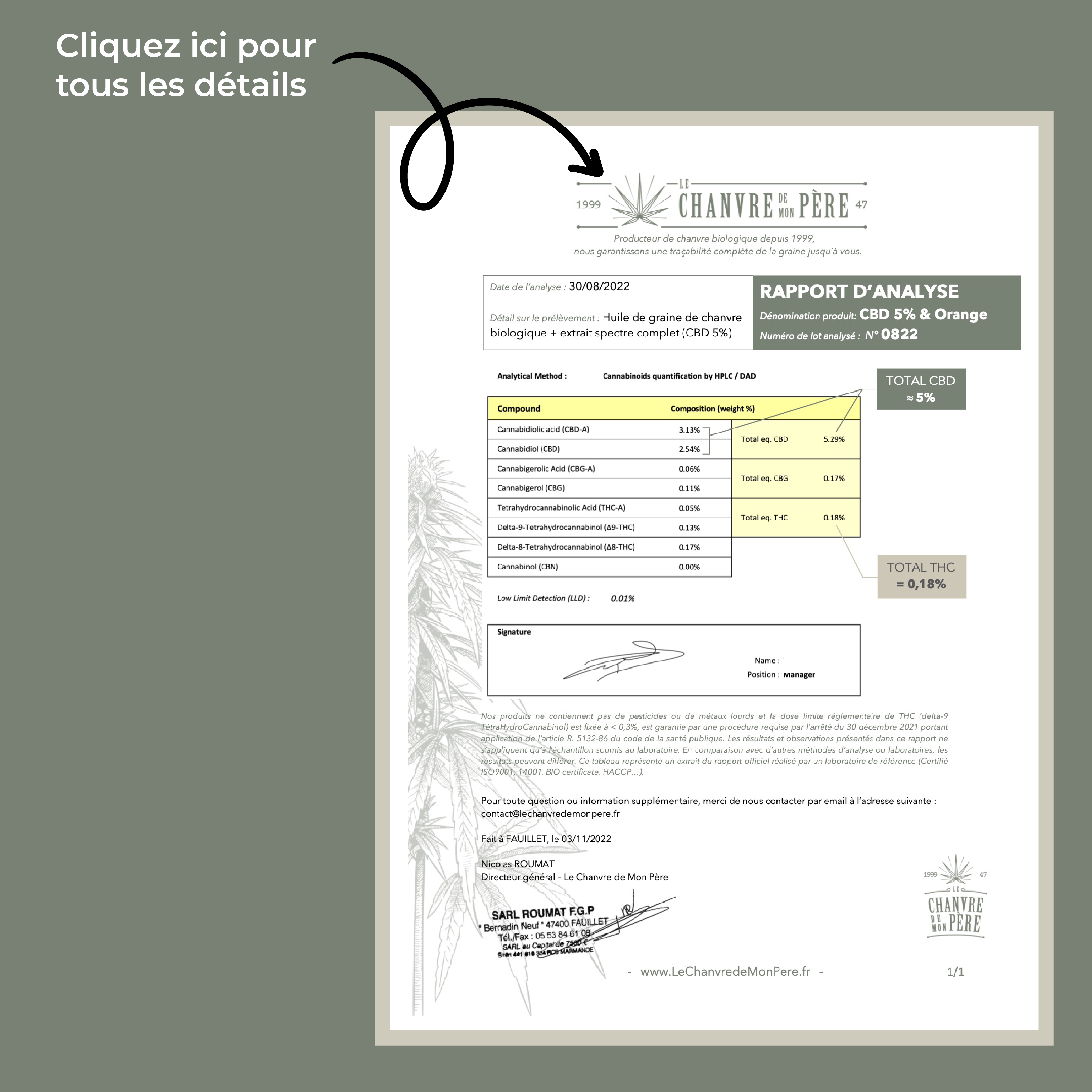 rapport analyse photo 0822 Plan de travail 1