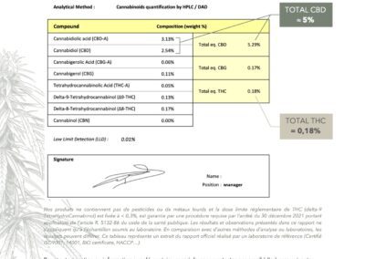 0123 Rapport danalyse LCDMP